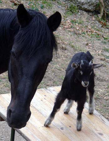 003Maennerfreundschaft