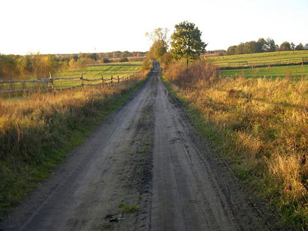 07TORDIS_IwonaDomi05