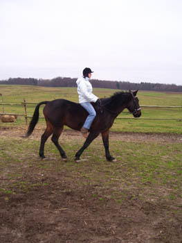 07WinterCopyrightYahdi11