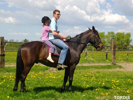 08.05.FamRozal_TORDIS08