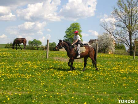 08.05.FamRozal_TORDIS09