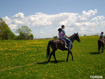 08.05.FamRozal_TORDIS10