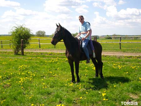 08.05.FamRozal_TORDIS12