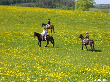 08.05.FamRozal_TORDIS24