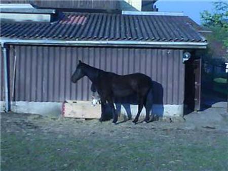 08.05.FrEndmann_Orion04