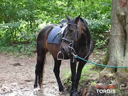 08.06.FamRozal_Nemo02