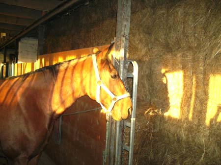 08.12.Freya_Saturn03