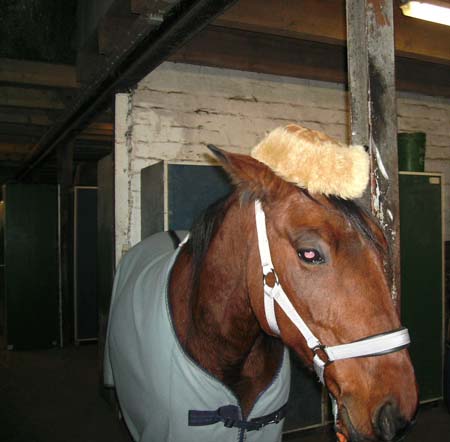 08.12.Freya_Saturn05