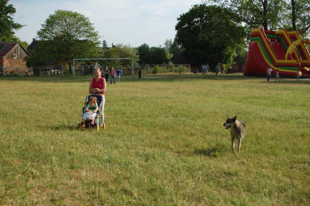 08.6.7FestNoweWorowo_016