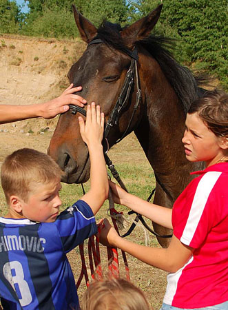 08.6.7FestNoweWorowo_022