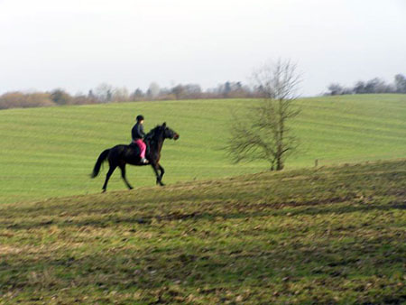 08_02cTORDISMarta_Victory