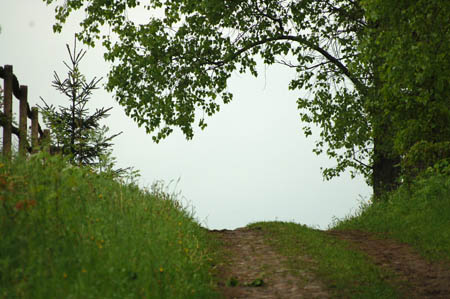 2006FruehlingCopyright#10FD