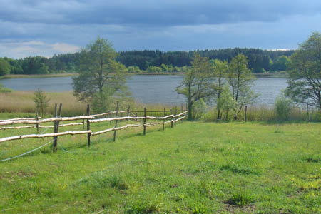 2006FruehlingCopyright#1105