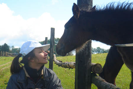 2006FruehlingCopyright#1106