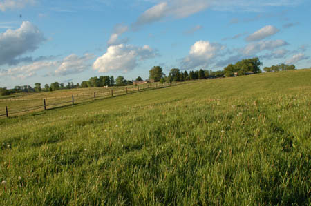 2006FruehlingCopyright#1107