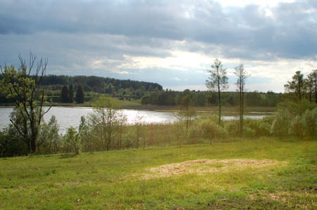 2006FruehlingCopyright#1117