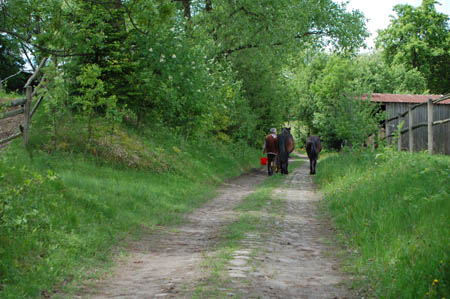 2006FruehlingCopyrights#353