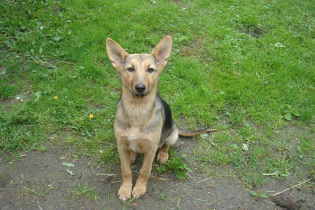 2006FruehlingCopyrights#357