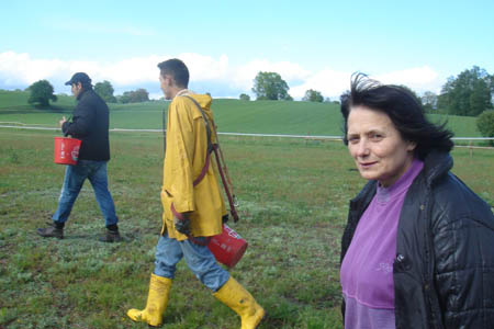 2006FruehlingCopyrights#363