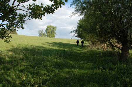 2006FruehlingCopyrights#7A7