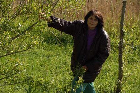 2006FruehlingCopyrights#7C1