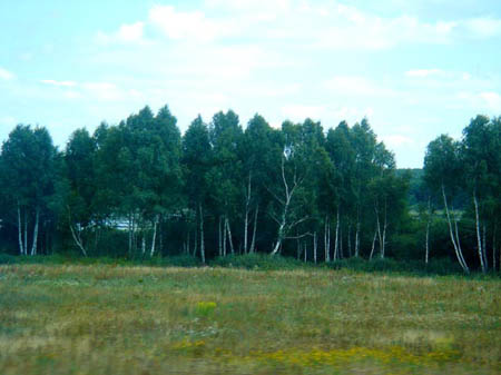 2006FruehlingCopyrights#7CE