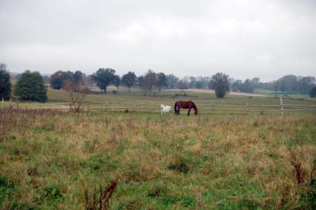 2007.10.07-01DSC_4740