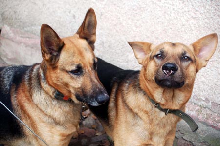 2007.10.07-01DSC_4754