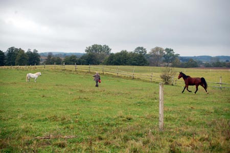 2007.10.07-01DSC_4774