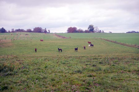 2007.10.07-01DSC_4809a