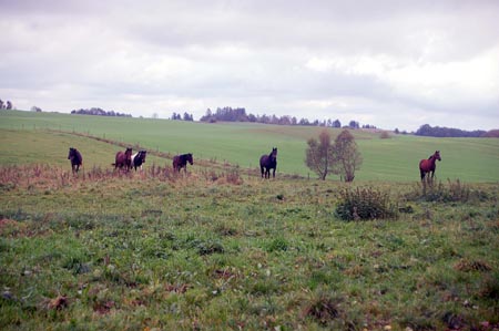 2007.10.07-01DSC_4810a