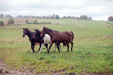 2007.10.07-01DSC_4812
