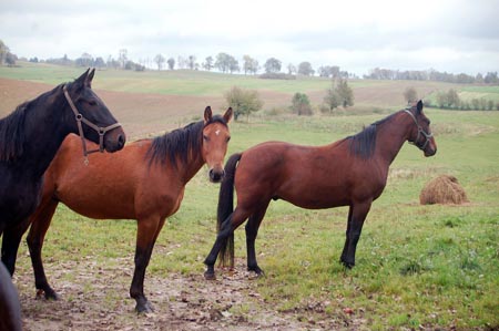 2007.10.07-01DSC_4820