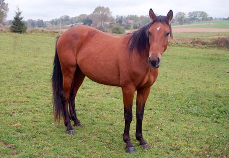 2007.10.07-01DSC_4840a