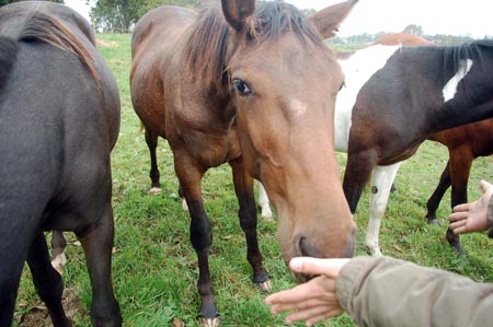 2007.10.07-01DSC_4849