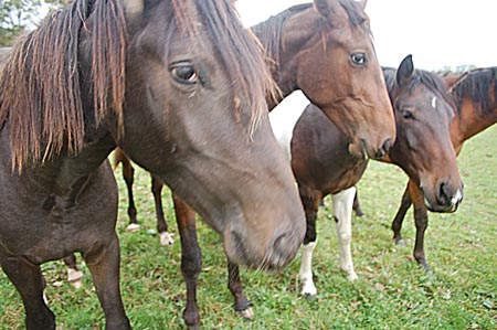 2007.10.07-01DSC_4850a