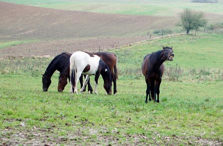 2007.10.07-01DSC_4857a