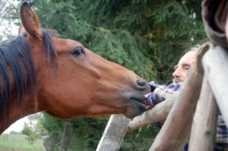 2007.10.07-01DSC_4866