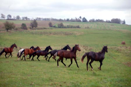 2007.10.07-01DSC_4881a