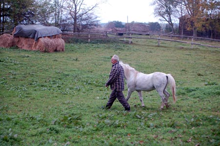 2007.10.07-01DSC_4903