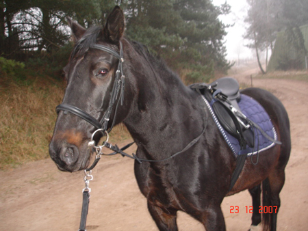 2007Fam.Rozalu.Nemo06