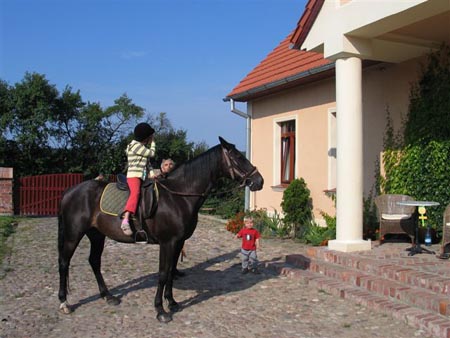 2007TORDISSommer2_03