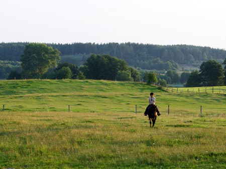 2007TORDISSommerMarta06