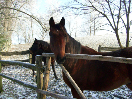 2007TORDISWinter04Saturn