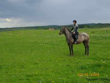 2009_06_Tordis_Agava1