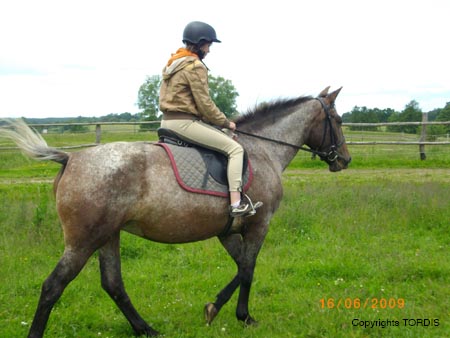 2009_06_Tordis_Agava11