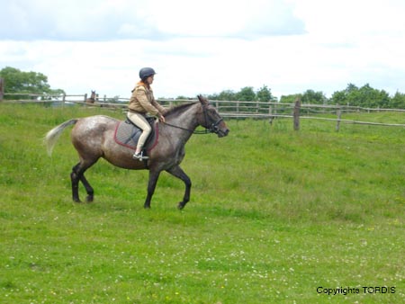 2009_06_Tordis_Agava9