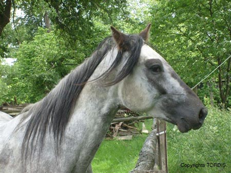 2009_06_Tordis_Baron5