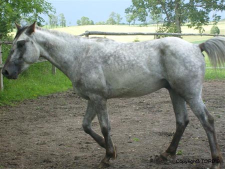 2009_06_Tordis_Baron6