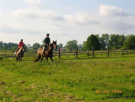 2009_06_Tordis_Bella#7C97F3